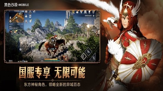 黑色沙漠手游