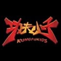 功夫小子