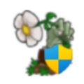 植物大战僵尸食物版