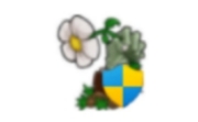 植物大战僵尸忍者版LOGO