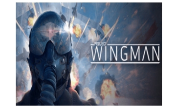 Project WingmanLOGO