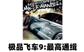 极品飞车9:最高通缉LOGO