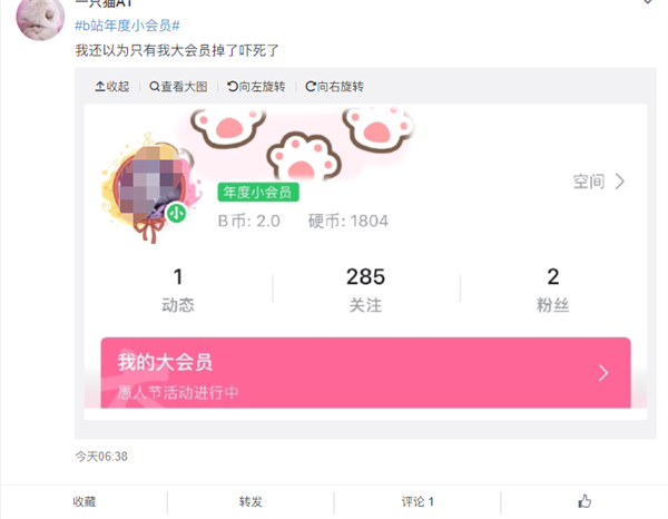 一年绿一次!今天愚人节:B站年度小会员又上线了、贼绿