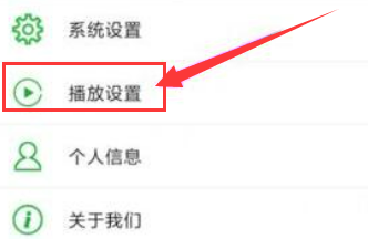 seetong如何更改播放设置?