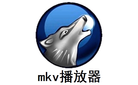 mkv播放器段首LOGO