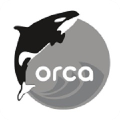 Orca