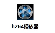 h264播放器段首LOGO