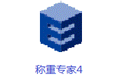 称重专家4段首LOGO