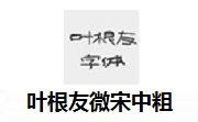 叶根友微宋中粗段首LOGO