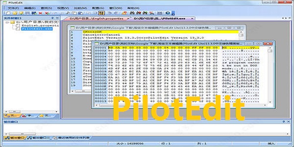 PilotEdit截图