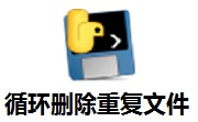 循环删除重复文件软件段首LOGO