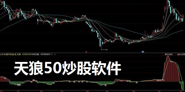 天狼50炒股软件截图