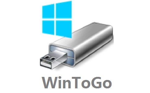 WinToGo段首LOGO