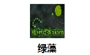 绿藻段首LOGO