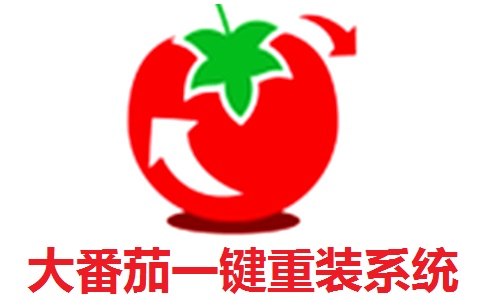 大番茄一键重装系统段首LOGO