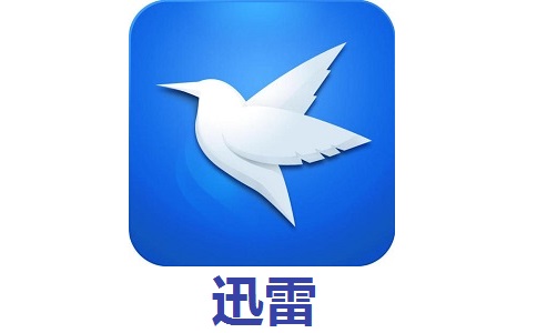 迅雷8段首LOGO