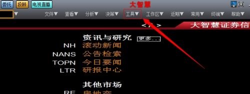 大智慧截图