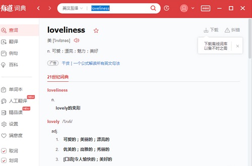 有道翻译在线翻译英语截图