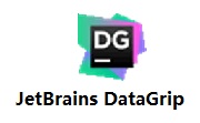 JetBrains DataGrip段首LOGO