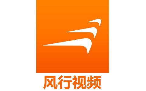 风行视频段首LOGO