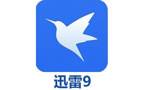 迅雷9段首LOGO