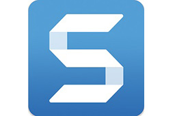 Snagit段首LOGO