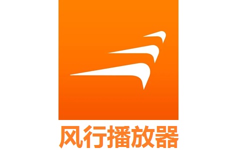风行播放器段首LOGO