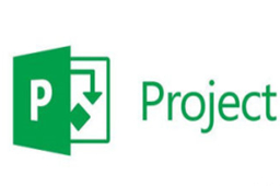 Microsoft Project段首LOGO