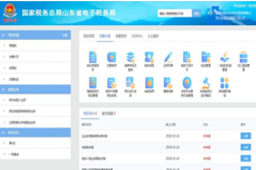 山东省自然人电子税务局扣缴端段首LOGO