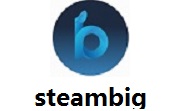 steambig段首LOGO