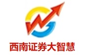 西南证券大智慧段首LOGO