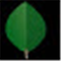 mongodb 64位windows版