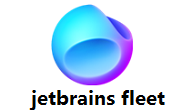 jetbrains fleet段首LOGO