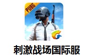 刺激战场国际服段首LOGO