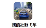 我的狂野飞车段首LOGO