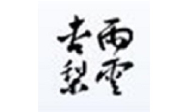 杏雨梨云U盘系统段首LOGO
