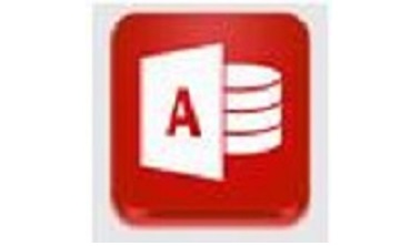 Access 2010段首LOGO