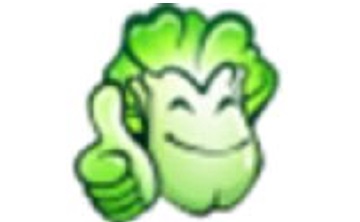 大白菜超级U盘启动盘段首LOGO