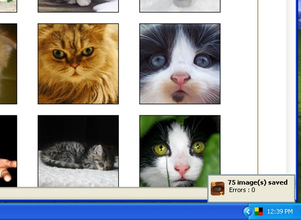 Save Images截图