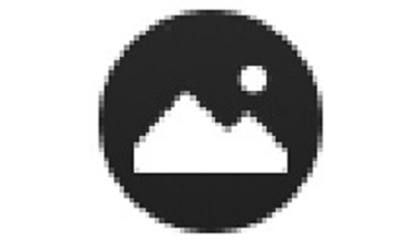 qviewer段首LOGO