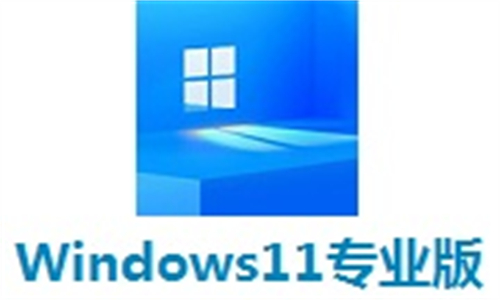 Windows11专业版截图
