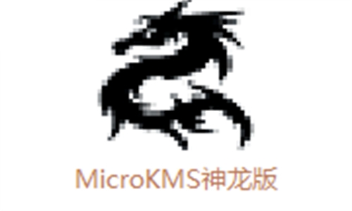 MicroKMS神龙版截图