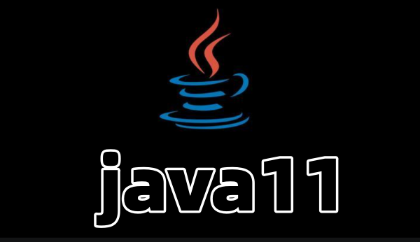 Java 11截图