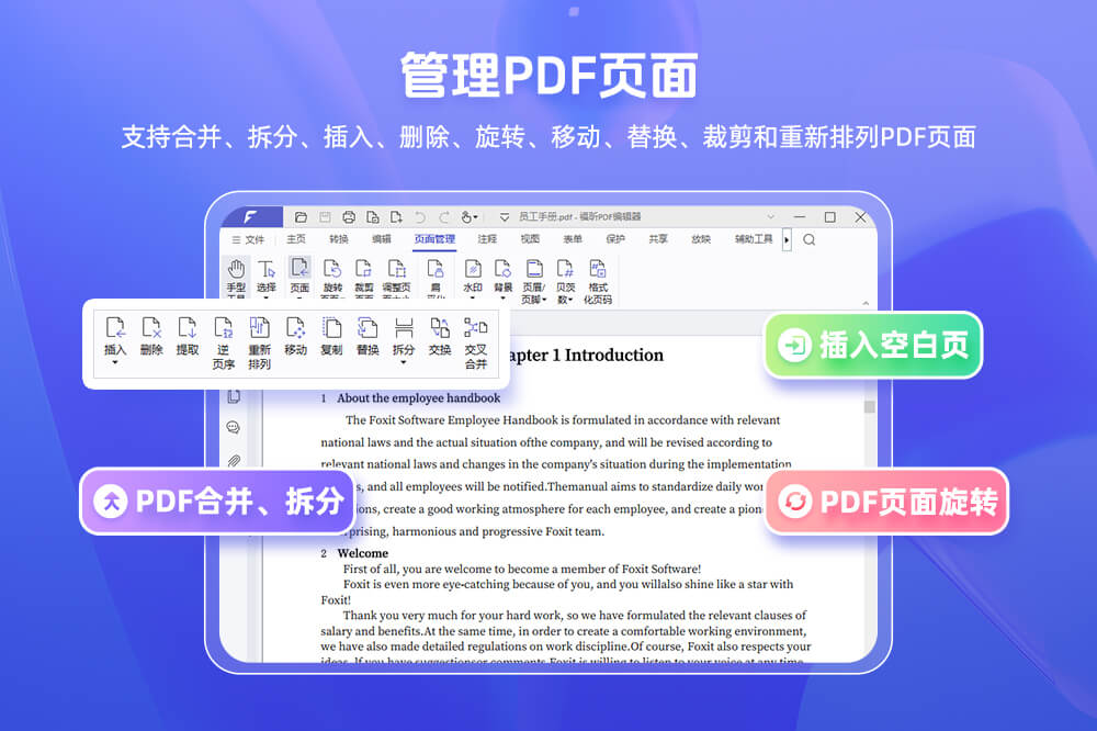 福昕PDF编辑器Foxit PDF Editor截图
