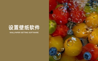 设置壁纸软件