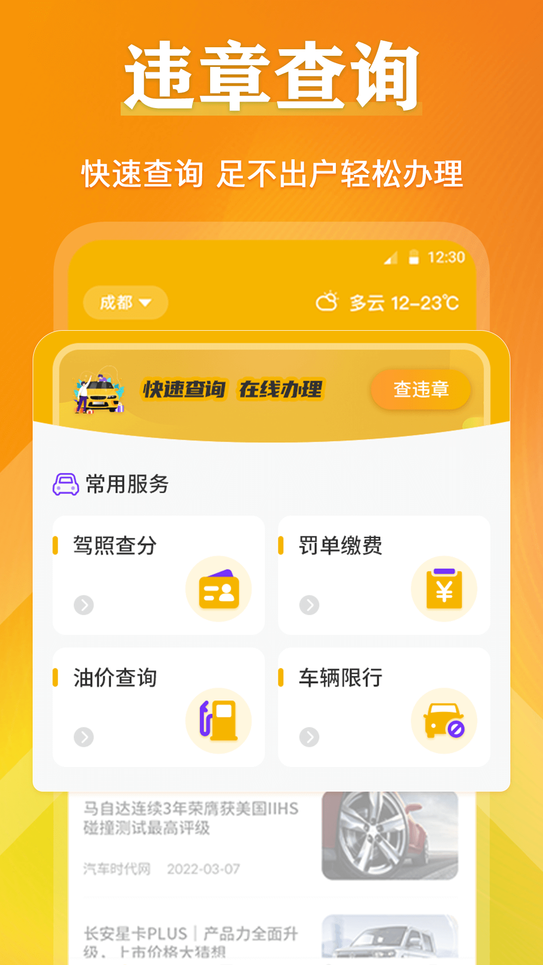 查违章截图