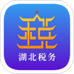 湖北税务网上税务局电脑版