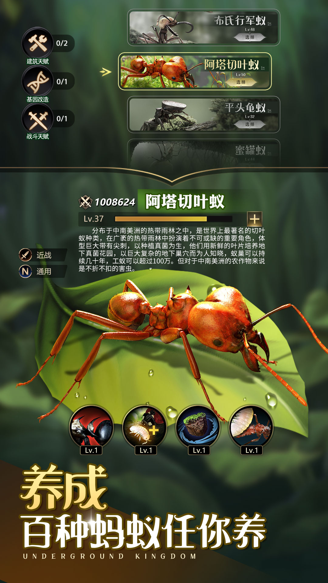 小小蚁国：送648元金甲蚁电脑版截图