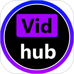 Vidhub视频电脑版1.10