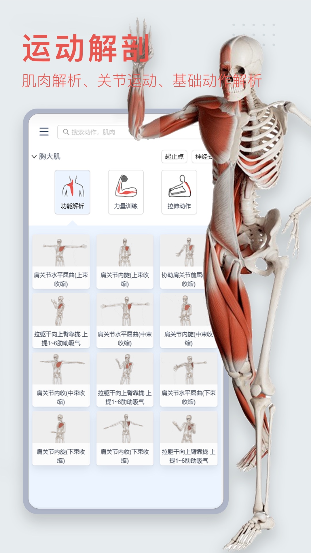 3dbody解剖学专业版截图